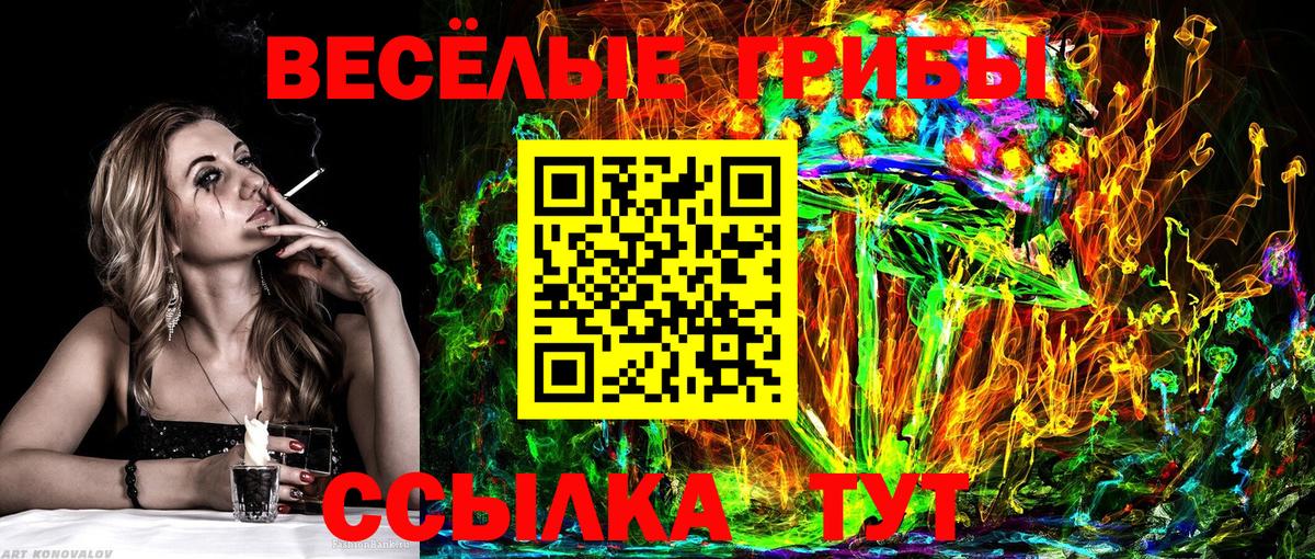 Галлюциногенные грибы мицелий  Галлюциногенные грибы Psilocybe  Кимовск  Вход с VPN 