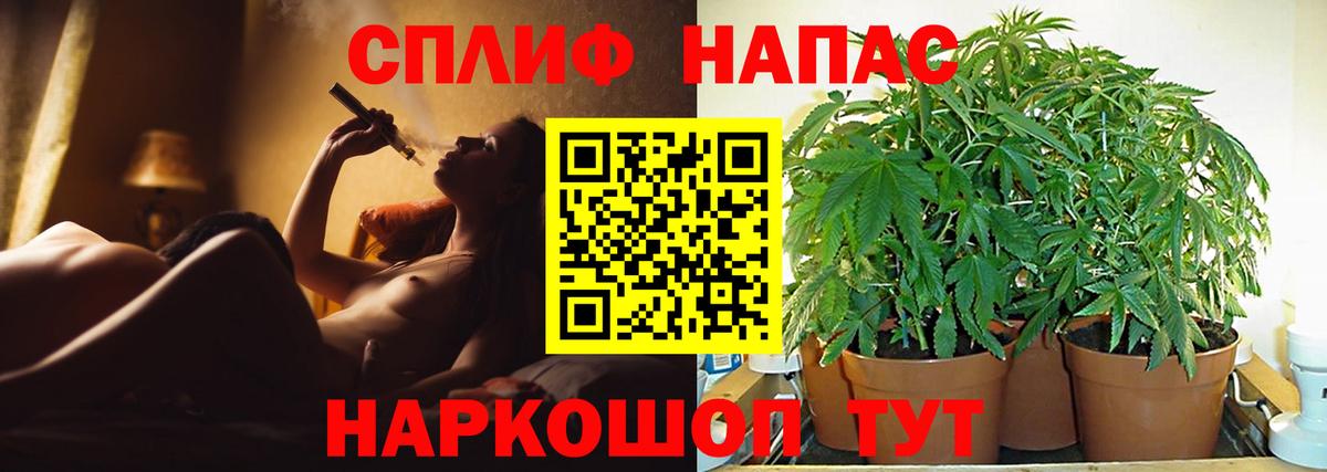 Шишки марихуана планчик Кимовск